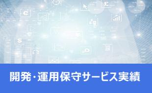 開発運用保守実績